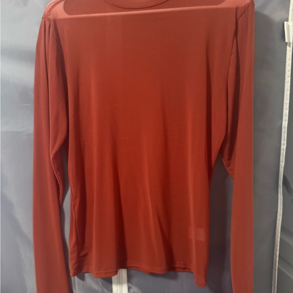 BKE Essentials Burnt Orange Fitted Long Sleeve Blouse sheer mock-turtleneck.